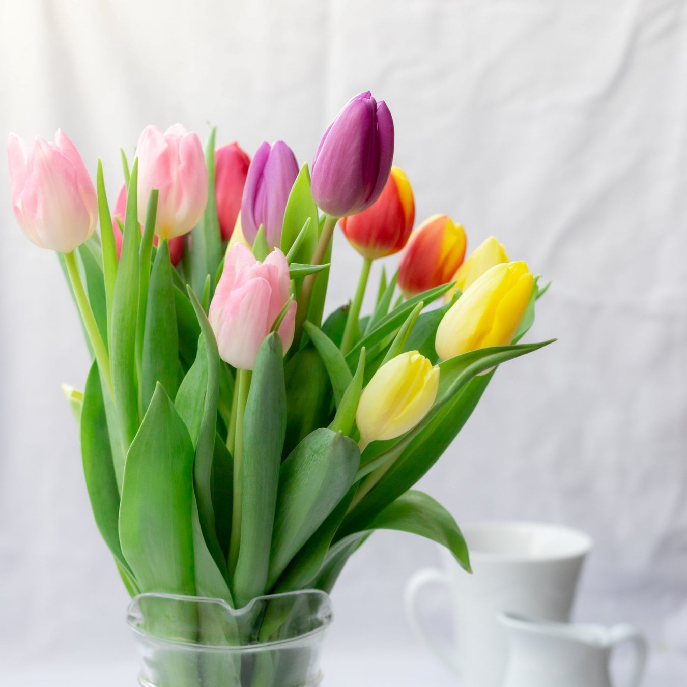 Tulip Bouquets in Singapore - Well Live Florist