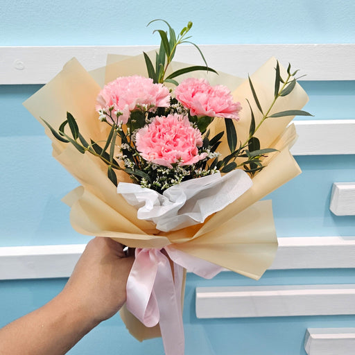 Carnation Charm - Hand Bouquet - Carnation - Hand Bouquet - Well Live Florist