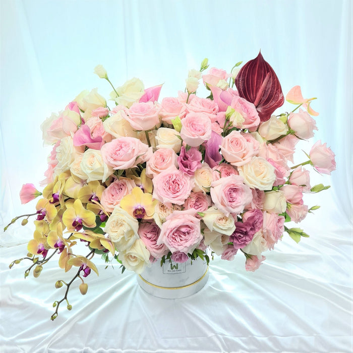 Ohara Rose, Phalaenopsis Orchid, Flower box, Bloom Box, Flower Bouquet, Flower Deliver Singapore, Florist Singapore, Well Live Florist