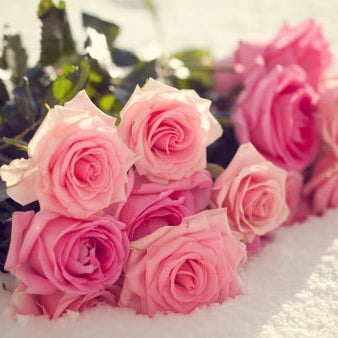 Flowers That Look Like Roses, Well Live Florist