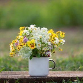 Flowers That Symbolize Happiness, Well Live Florist