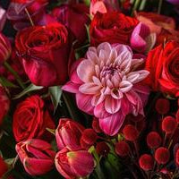 58 Stunning Red Flowers to Elevate Your Garden and Bouquets | Well Live Florist