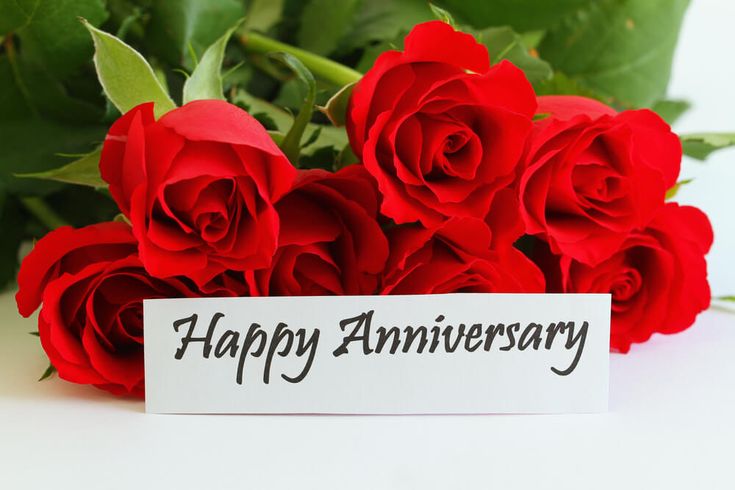Anniversary Message, Well Live Florist
