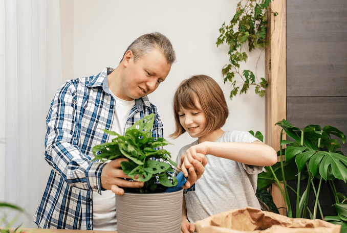 8 Stunning Low-Maintenance Plants for Busy Dads