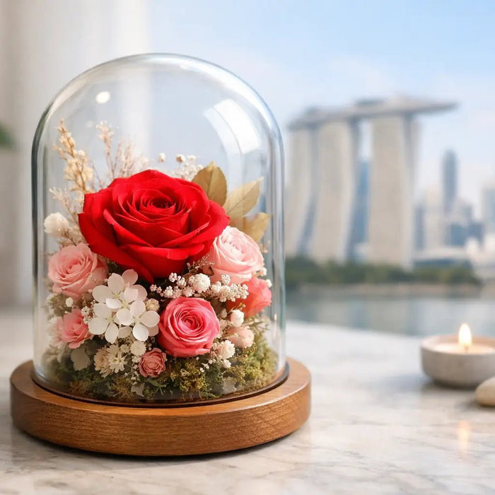 Preserved Flower in Glass Dome Singapore Guide