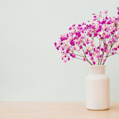 Baby's Breath Bouquet for all occasions, Well Live Florist