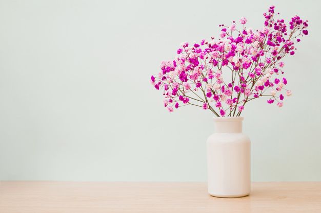 Baby's Breath Bouquet for all occasions, Well Live Florist