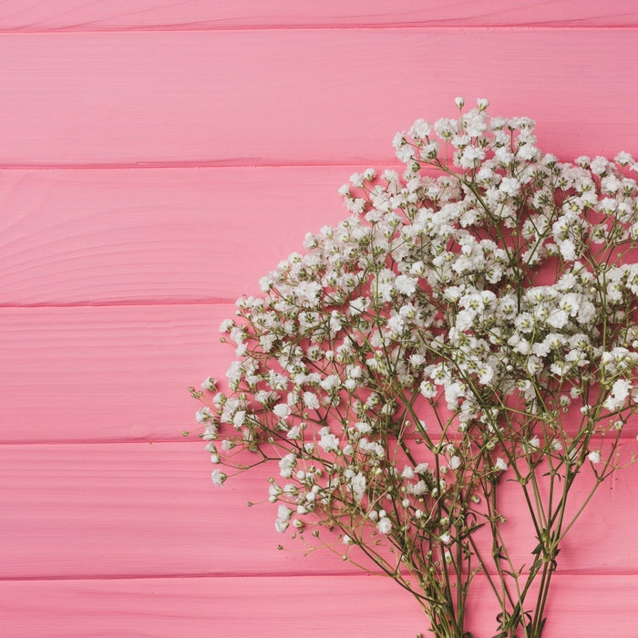 Baby’s Breath bouquet, Well Live Florist