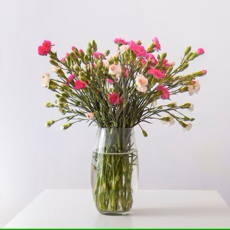 Carnation vase arrangement