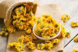 Chrysanthemum Bouquets: Beauty, Tradition, and Healing