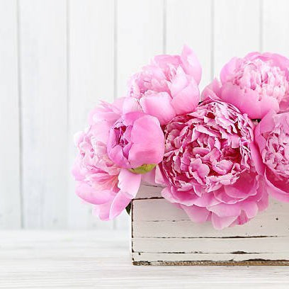 Peony Bouquet, Well Live Florist