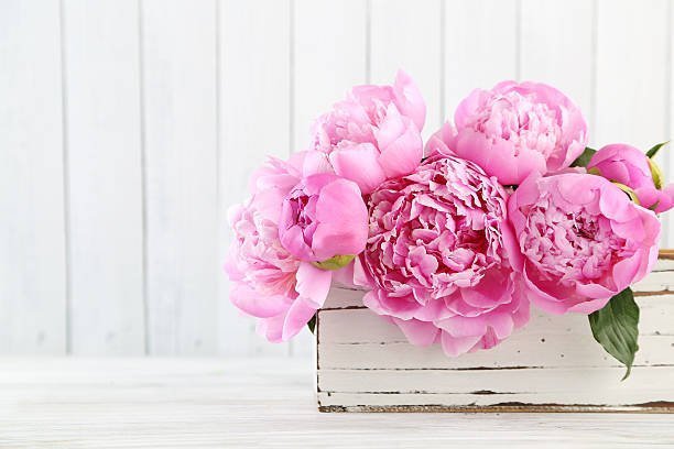 Peony Bouquet, Well Live Florist