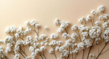 Baby's Breath Bouquet, Well Live Florist