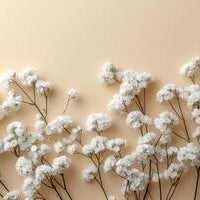 Baby's Breath Bouquet, Well Live Florist