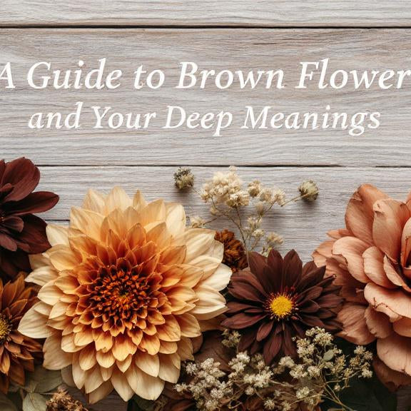 A Guide to Brown Flowers and Their Deep Meanings, Well Live Florist