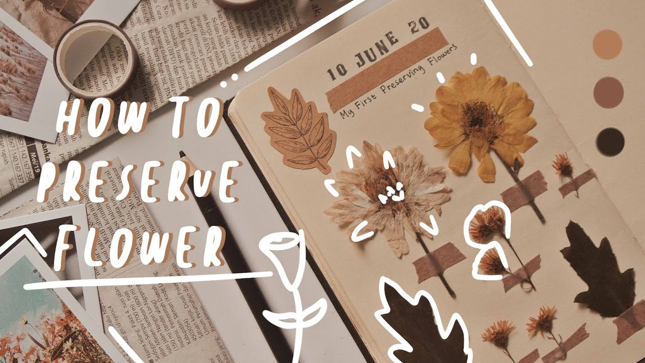 Guide to Preserving Your Fresh Flowers - Well Live Florist