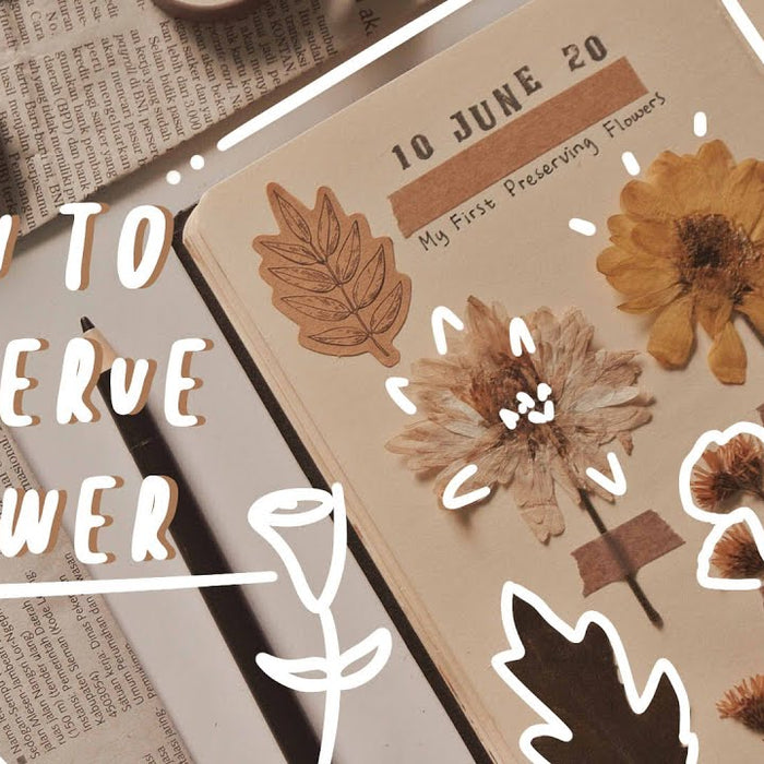 Guide to Preserving Your Fresh Flowers - Well Live Florist