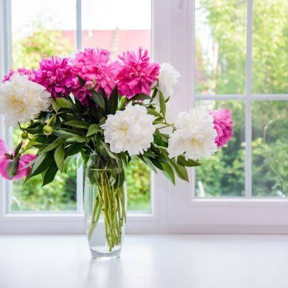 Peony Bouquet, Well Live Florist