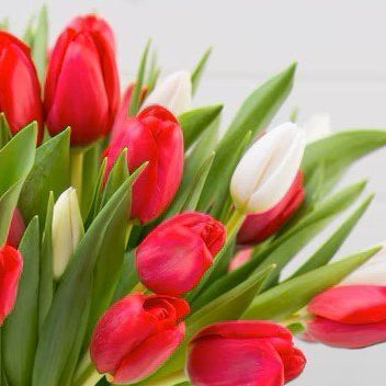 Tulip Bouquet. Flower Delivery Singapore, Well Live Florist