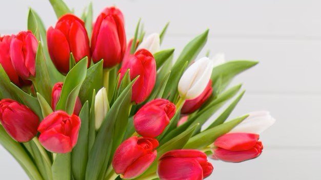Tulip Bouquet. Flower Delivery Singapore, Well Live Florist