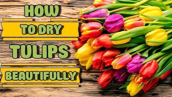 Preserved Tulips, Tulip Bouquet, Flower Delivery Singapore, Well Live Florist