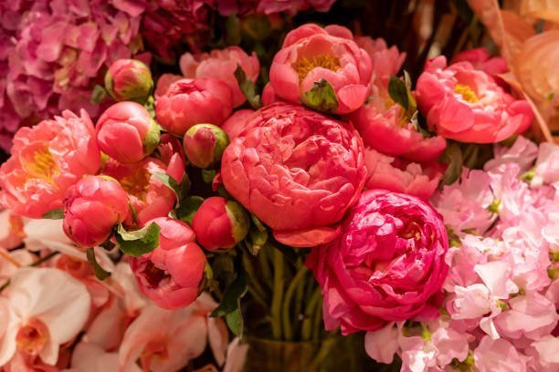 Peony Bouquet, Well Live Florist