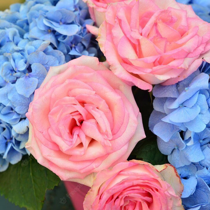 How to Keep Fresh Flowers Longer: 4 Winning Tips From Expert Florists [As Of 2022] - Well Live Florist
