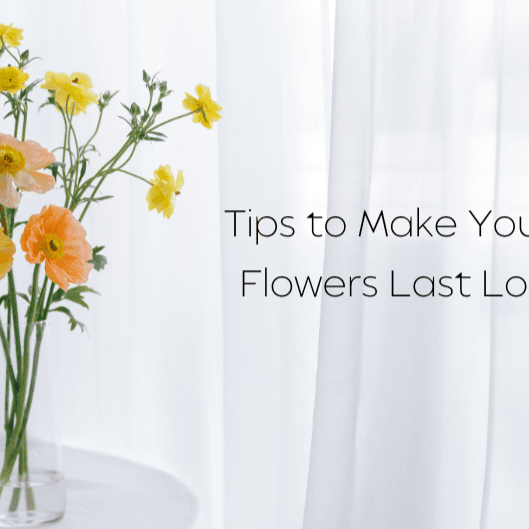 Tips to Make Your Cut Flowers Last Longer, Well Live Florist