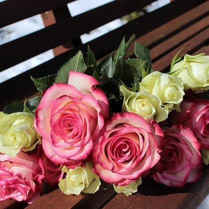 How to Make Your Roses Last Longer, Well Live Florist
