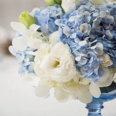 How to Pair Hydrangeas with Other Flowers in Arrangements