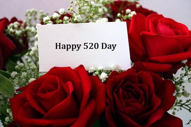 520 Day flower bouquet with a heartfelt card from Well Live Florist, Singapore’s trusted flower delivery service