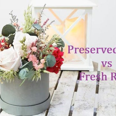 Preserved Rose, Fresh Rose, Well Live Florist