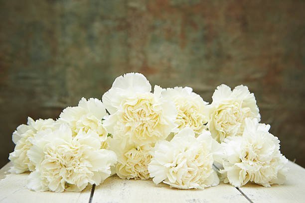Sympathy Flowers: The Comforting Beauty of White Carnations