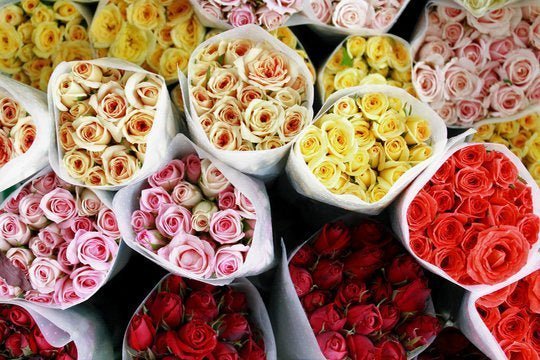 The Language of Roses: Decoding Colors and Their Meanings - Well Live Florist