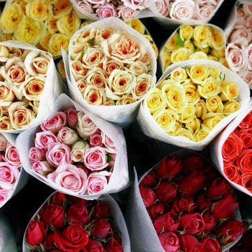 The Language of Roses: Decoding Colors and Their Meanings - Well Live Florist