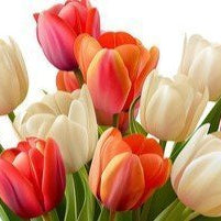 The Most Romantic Tulip Arrangements for Valentine’s Day