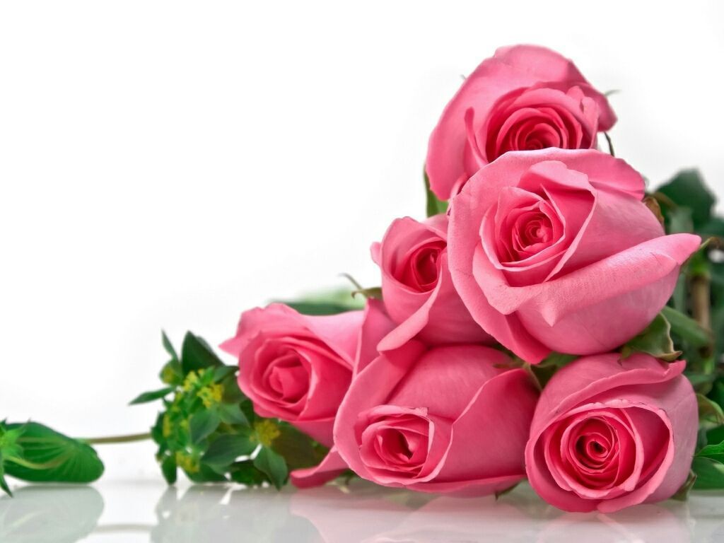 The Symbolism of 99 Roses - Well Live Florist