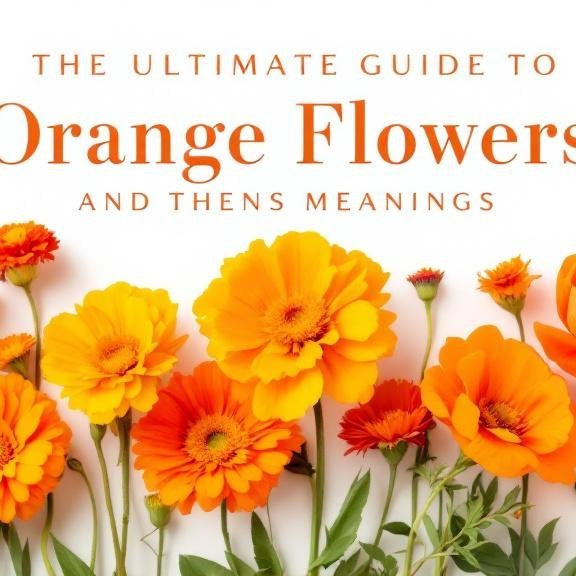 The Ultimate Guide to Orange Flowers and Their Meanings, Well Live Florist