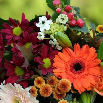 Gerbera Bouquet, Well Live Florist