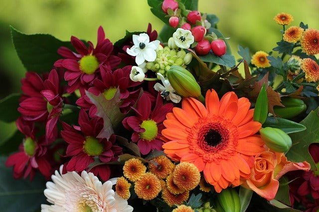 Gerbera Bouquet, Well Live Florist