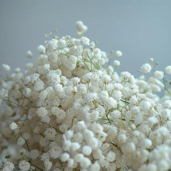 Baby's Breath Bouquet, Well Live Florist