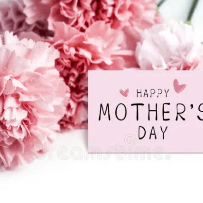 Why Carnations Are the Classic Mother’s Day Flower
