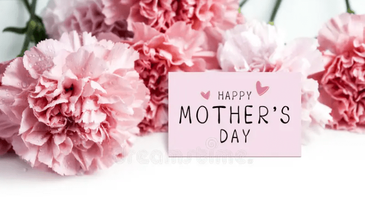 Why Carnations Are the Classic Mother’s Day Flower