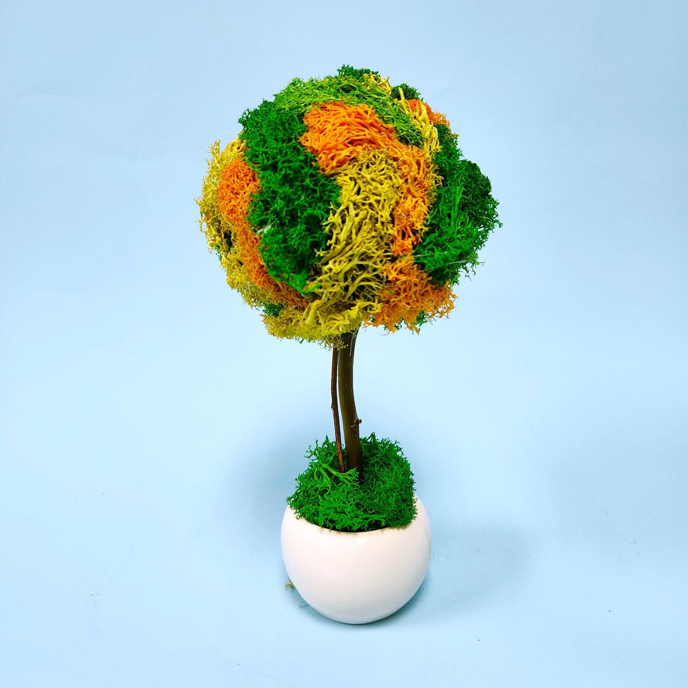 Moss Artwork - Well Live Florist