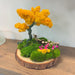 Little Wonderland preserved moss garden landscape display with natural wood chip base on white background
