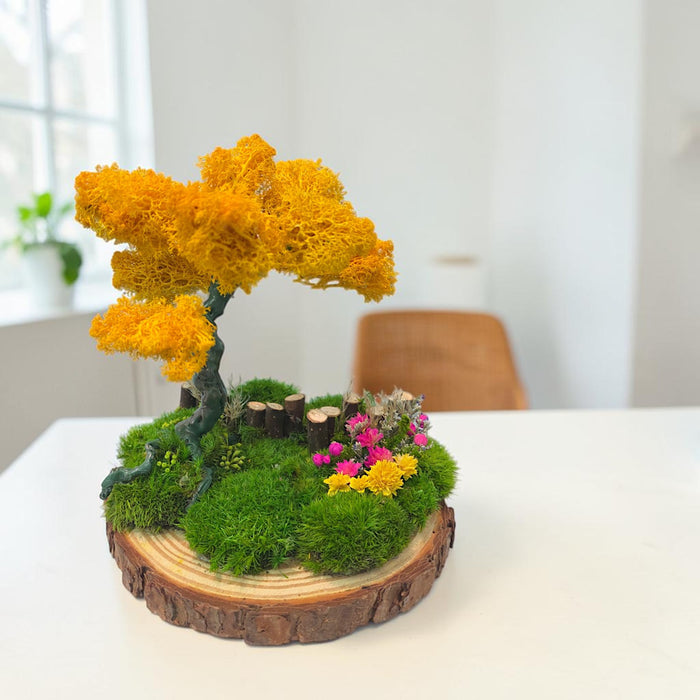 Little Wonderland moss garden landscape on office desk shelf showing size and styling in home environment
