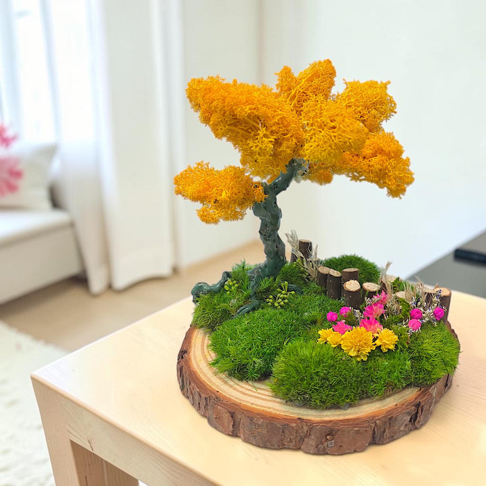 Close-up of lush preserved moss and botanical details in Little Wonderland moss garden display
