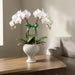 A potted white Phalaenopsis orchid with a green ribbon bow, displayed in a textured grayish green ceramic pot on a wooden table next to a beige armchair.