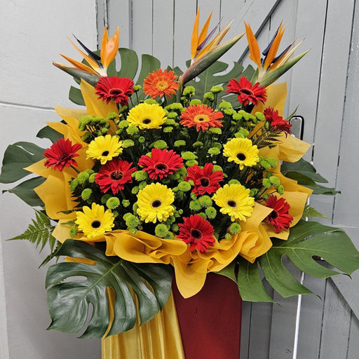 Blooming Delights - Grand Opening Flower Stand - Gerbera - Bird of Paradise - Fresh Flower - Free Same Day Delivery - Well Live Florist