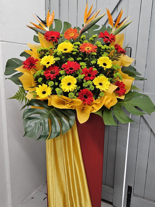 Blooming Delights - Grand Opening Flower Stand - Gerbera - Bird of Paradise - Fresh Flower - Free Same Day Delivery - Well Live Florist